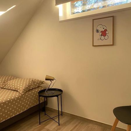 Appartement Dans Une Grange Renovee ストラスブール エクステリア 写真